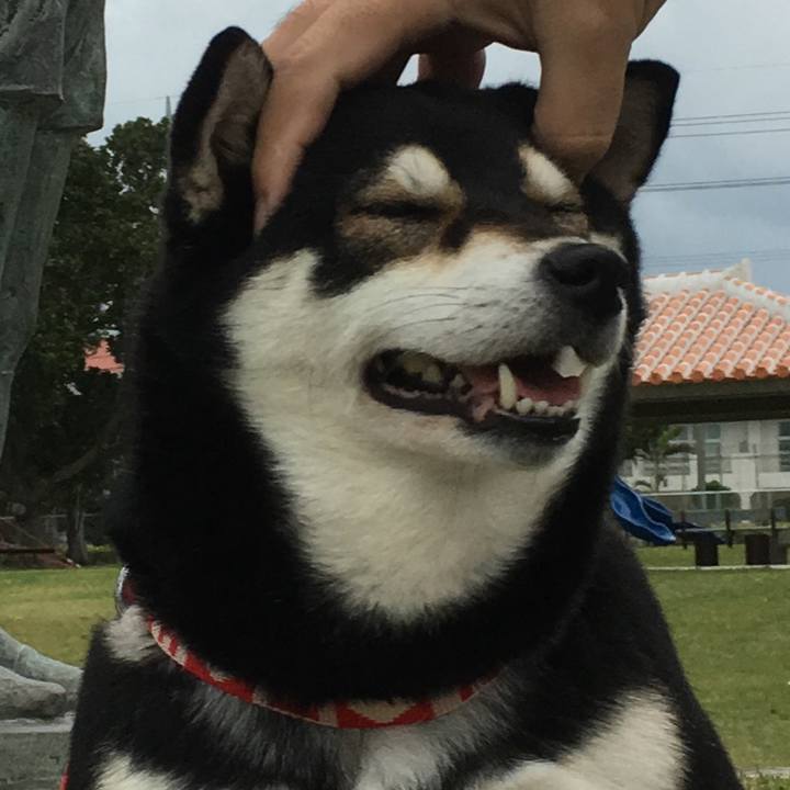 Bc677c56 03f9 4468 9834 cfda59b4f484