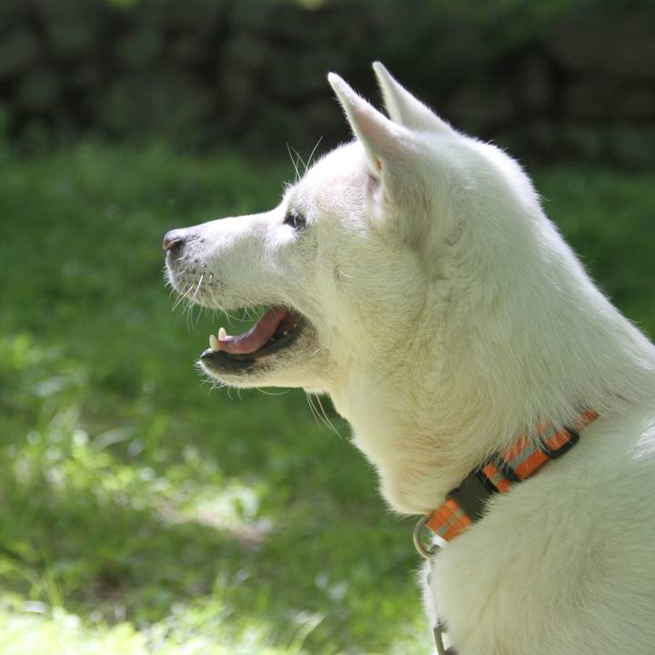 Bc67d109 8509 40c5 92cd 4eab9447f7cb