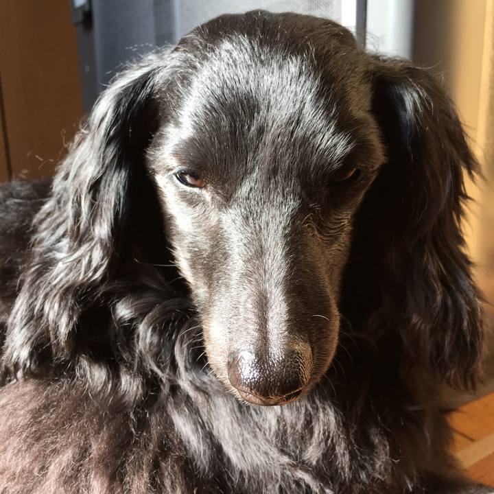 Bc67e31e ad89 4205 b96f 77408ad43248