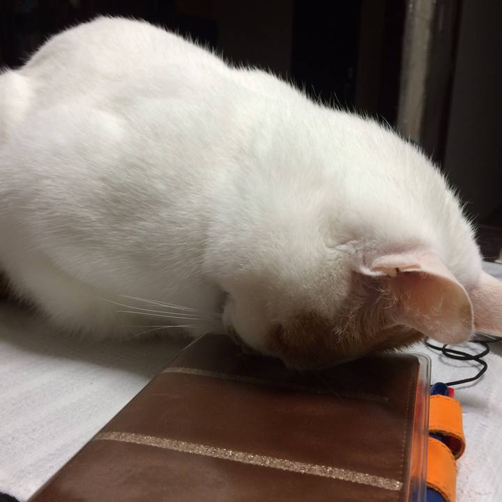 Bc689552 377b 4660 902c d9844d61c7f8