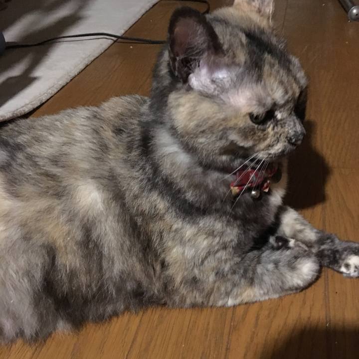 Bc689773 1494 4357 92c4 308aee0d4f35