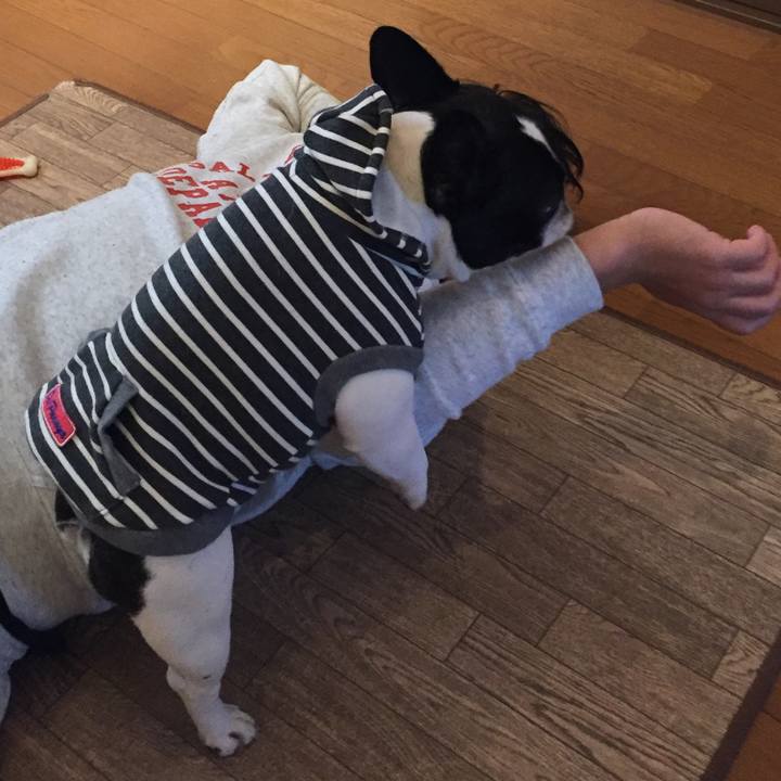 Bc689c09 b354 4543 8450 4346d0b38923