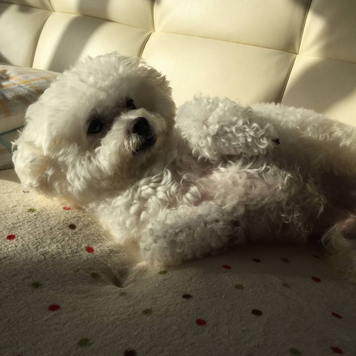 Bc6977c0 1a53 4732 84db 7835fba4c794