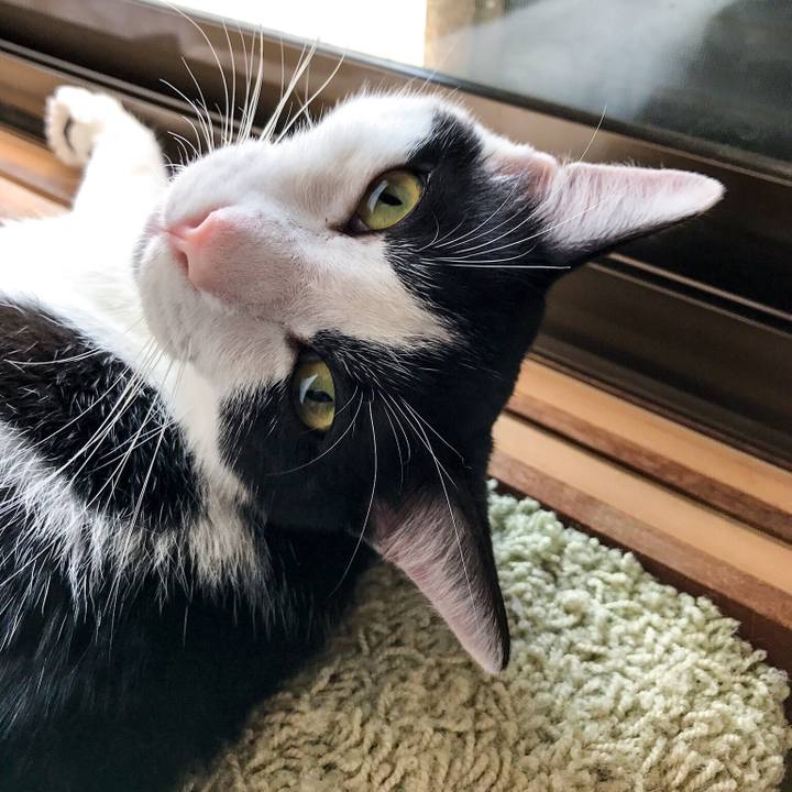 Bc69a89e 2626 4188 81a2 eae00f2cb89f