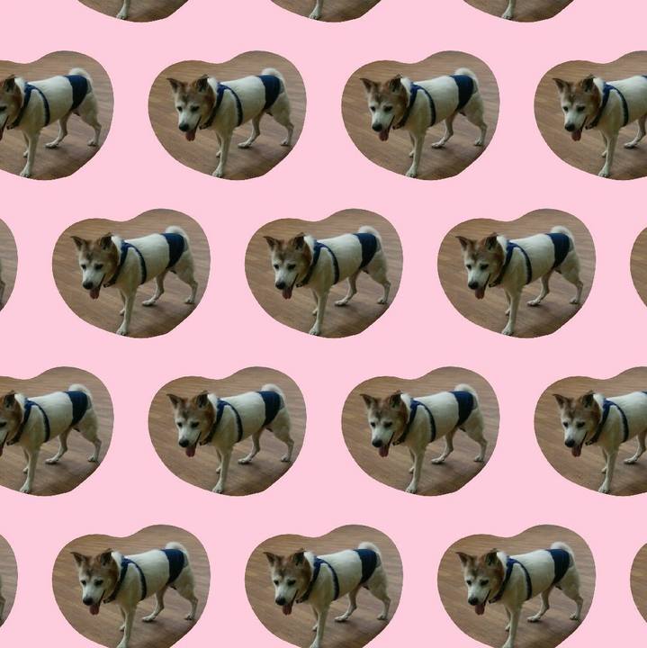 Bc69fd39 294a 4b17 adc2 36b6425ca4c7