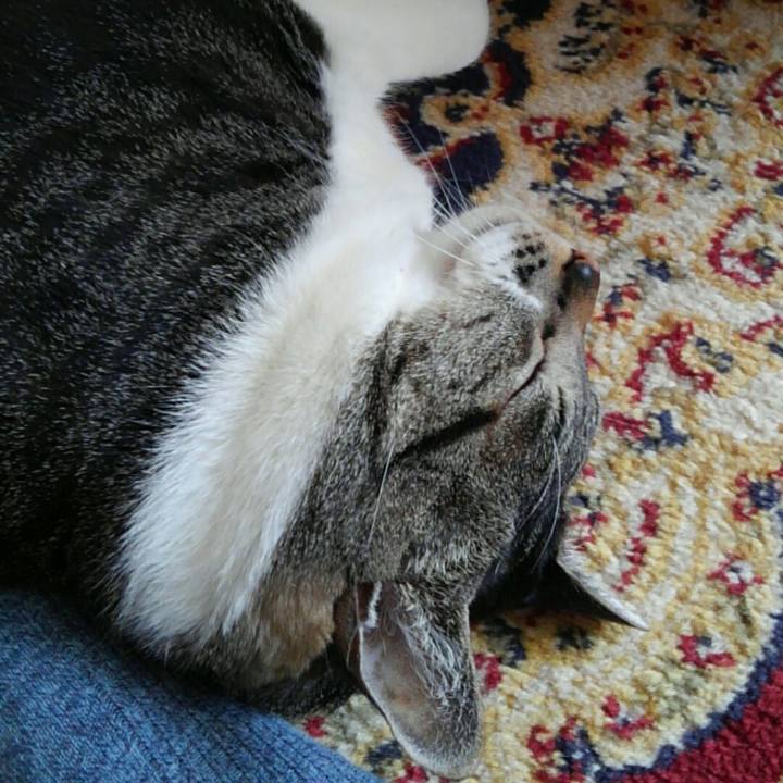 Bc6a68b9 15d8 4944 ab95 04d330c3db74