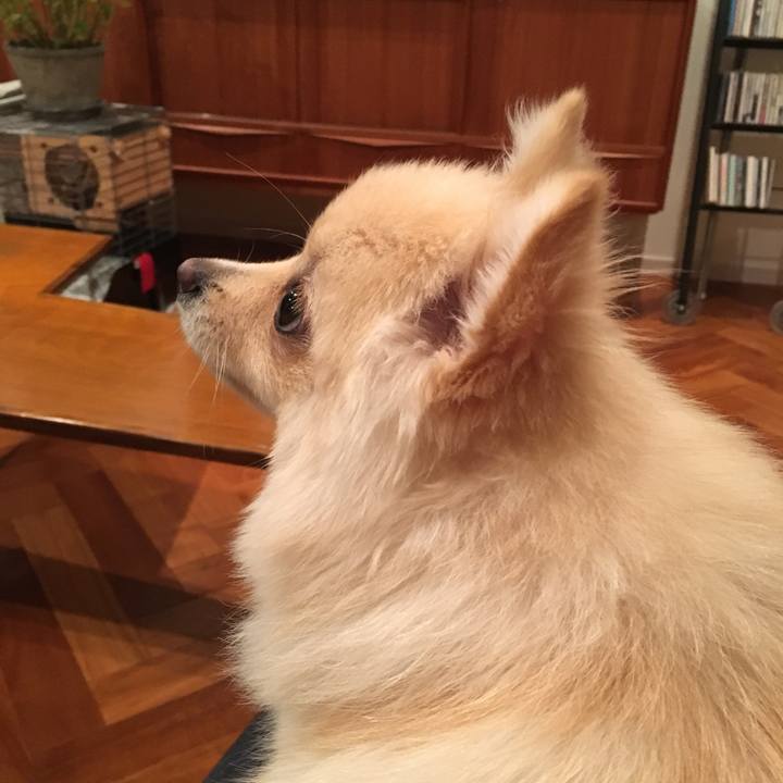 Bc6a914c a40a 406e 9c53 f878deb96c7a