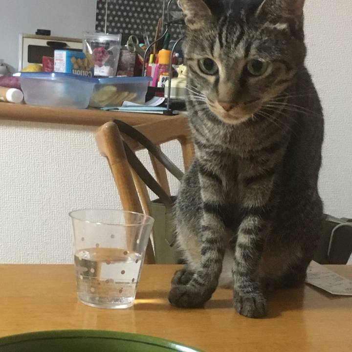 Bc6ac3ae 4a54 4714 b119 f6d2b30a9848