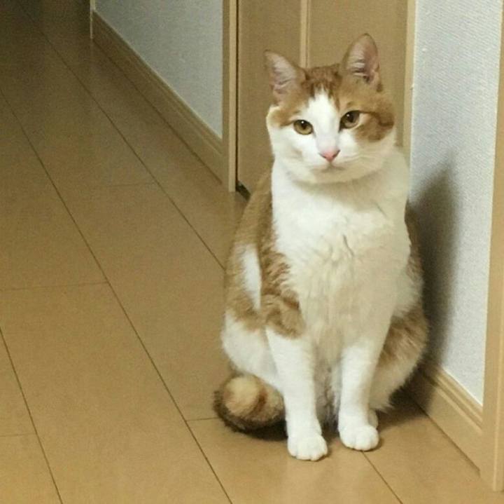 Bc6bcda9 3e60 451a 99e6 7a3b1ef4facb