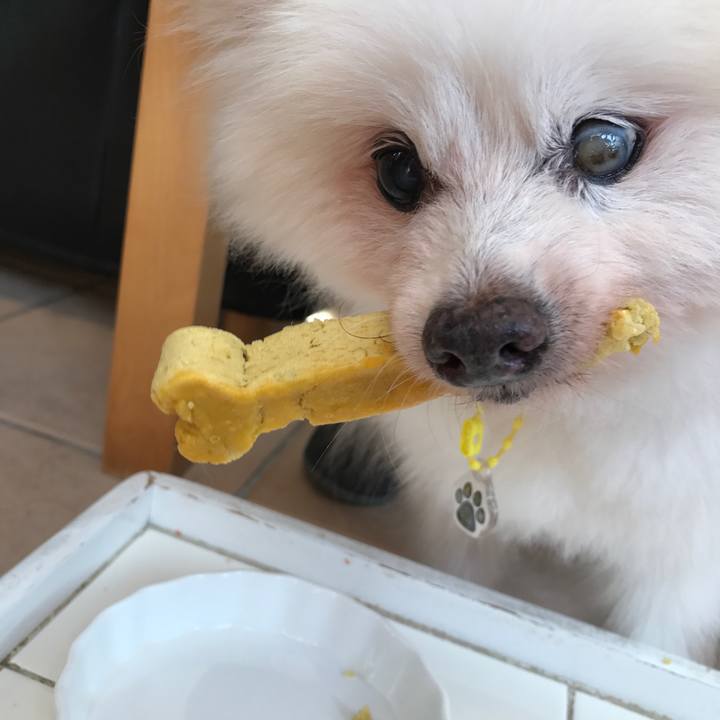 Bc6cd537 b0f1 4749 b203 9dd107c5e9ed