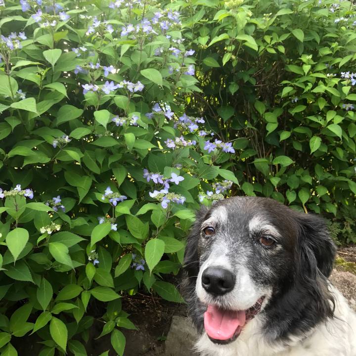 Bc6d4733 52ac 477c bb6a a2174ca375d5