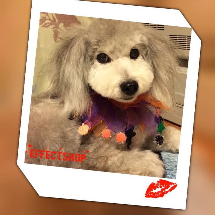 Bc6d5505 66d7 4fe4 9391 f92aa727b5e0