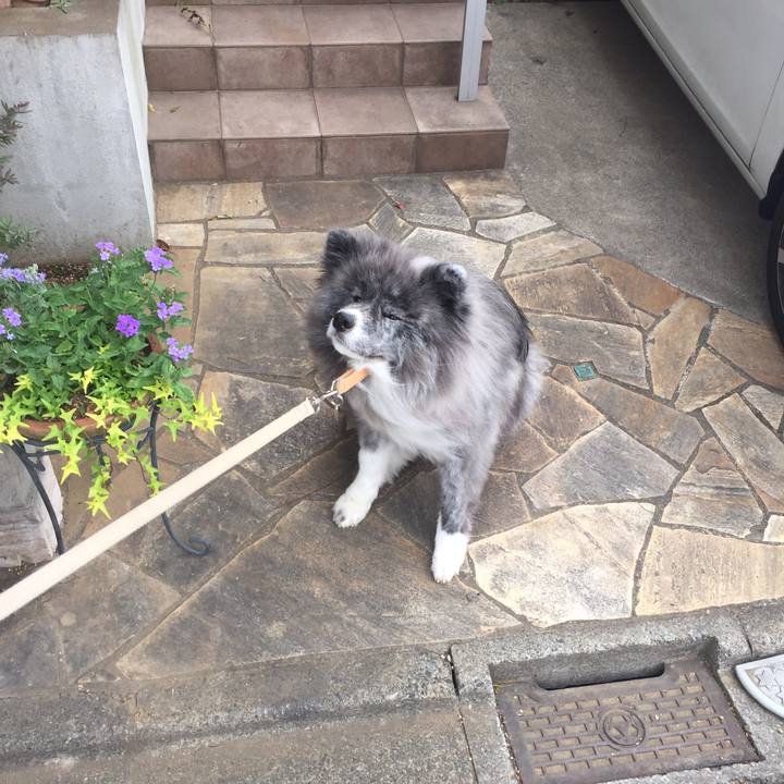 Bc6d7016 93ea 4eca bb93 8988d3b86337