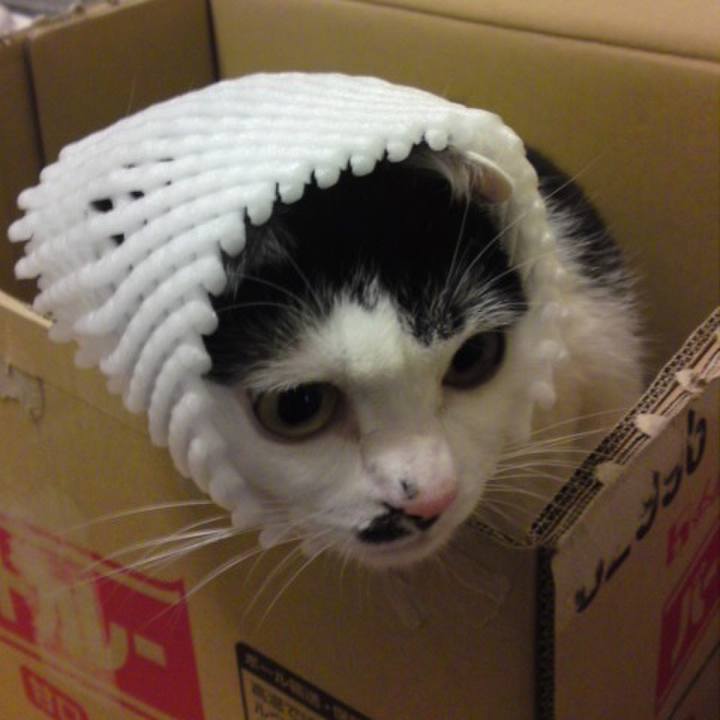 Bc6e2dc3 e8cc 4b53 a645 b477b0580e25