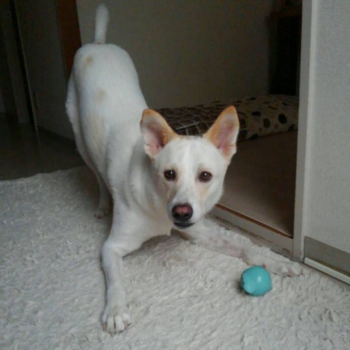 Bc6eb5d4 d961 40b6 8d6c b5b830c0bd31