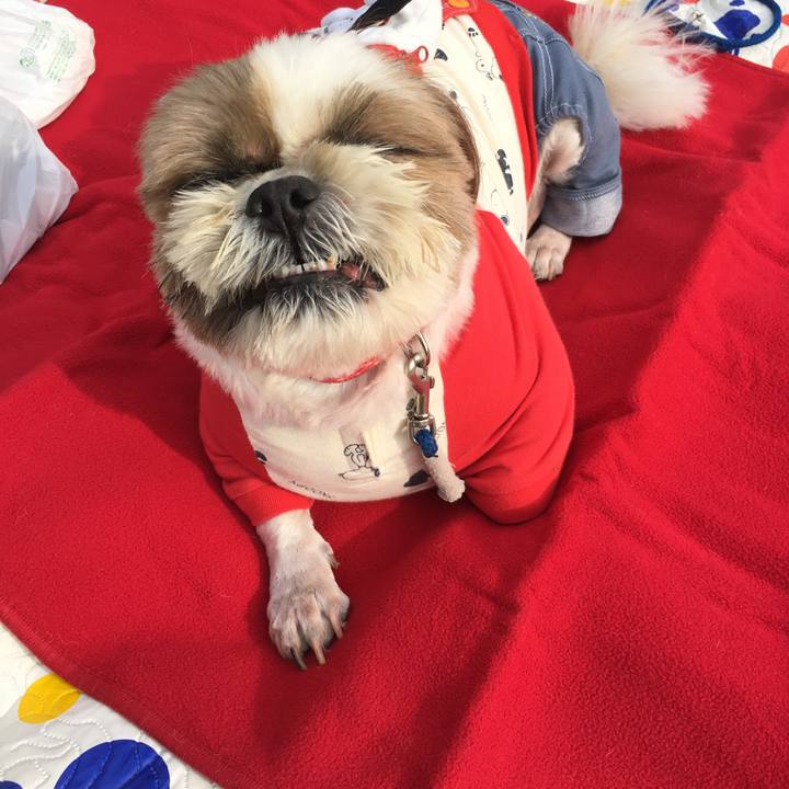 Bc6ed2a7 4142 43dc a405 53de1be05a25