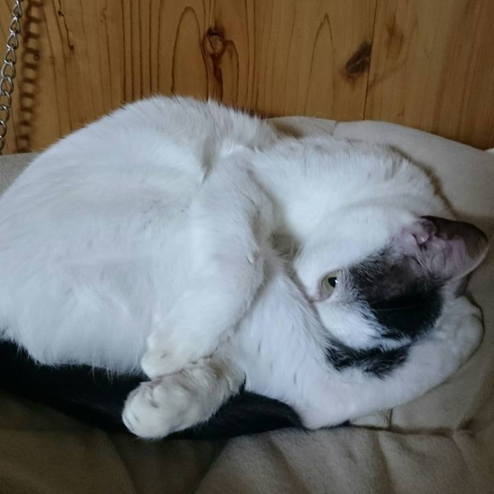 Bc700284 5d62 42ec 9f5a 1c6f6f22beb5