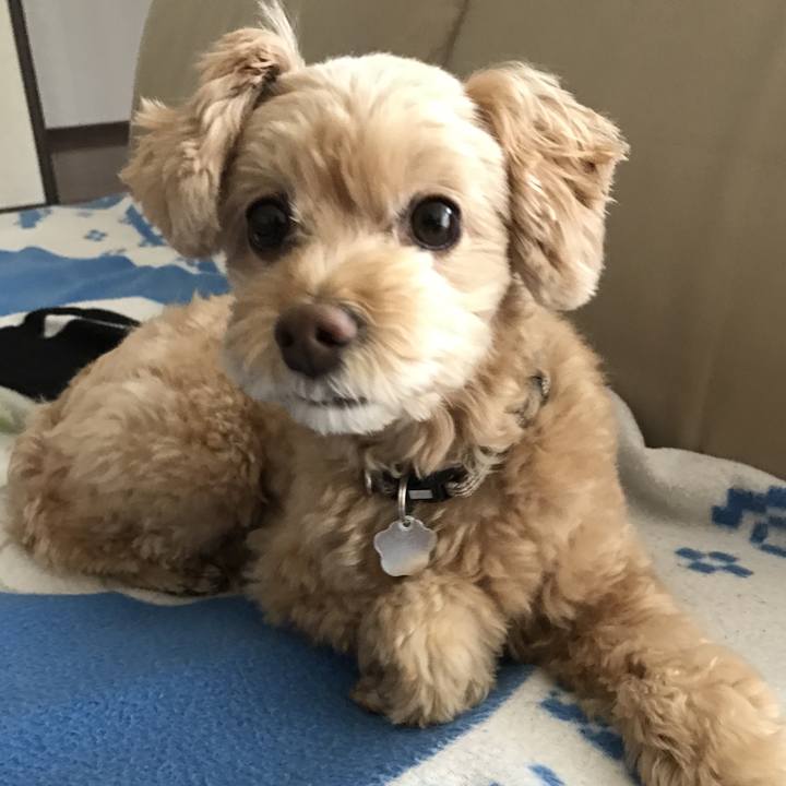 Bc702b8b 5939 4a35 8067 691c68f4bc86