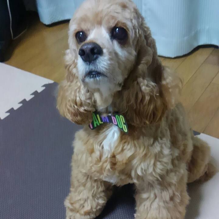 Bc709473 f54a 4182 9ae8 429b0289a9f5