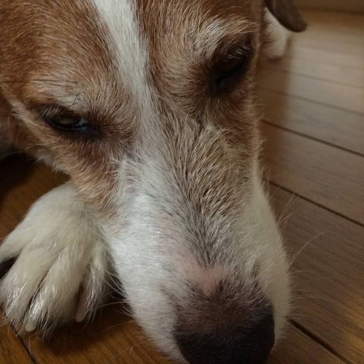 Bc718587 4470 4b78 a76c 29132f083513