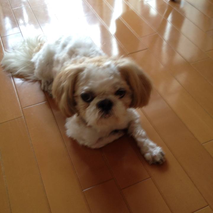 Bc73277d 862f 45e7 bcce 10a174c92d7a