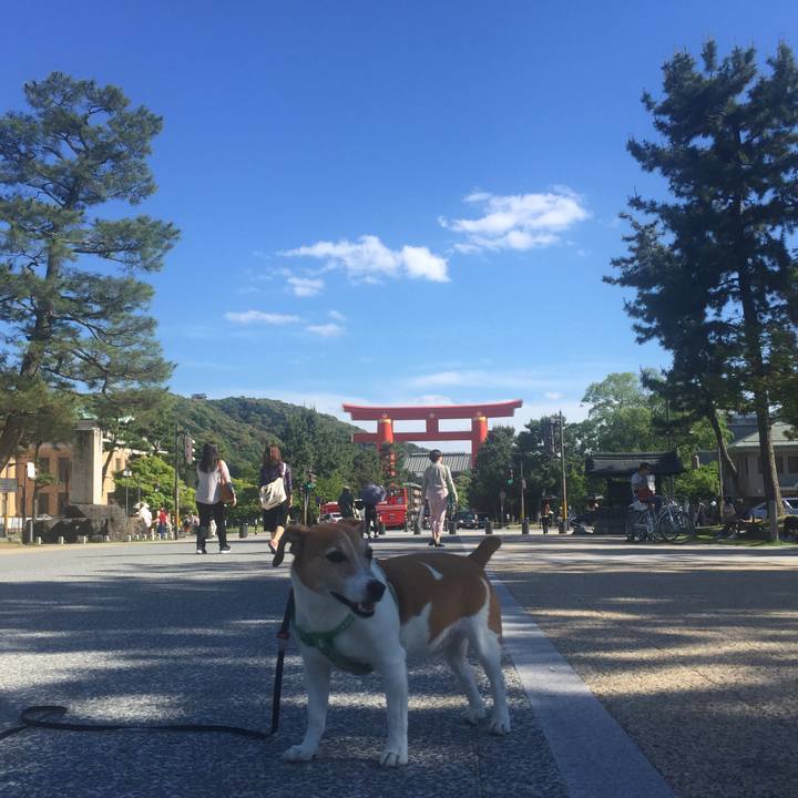 Bc734231 a843 4cfb 9ebb e93d067226e1