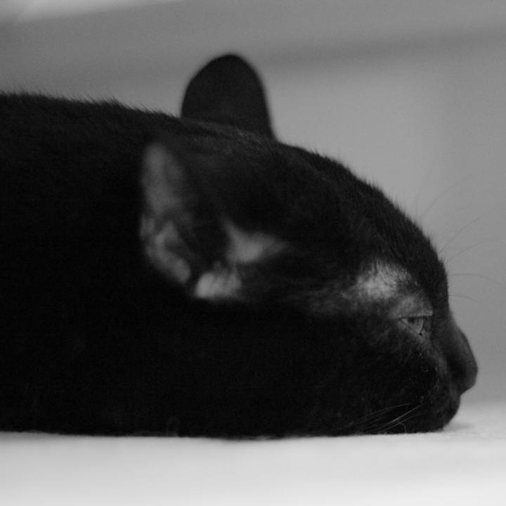 Bc735797 793a 4793 b168 a3efef56ae46