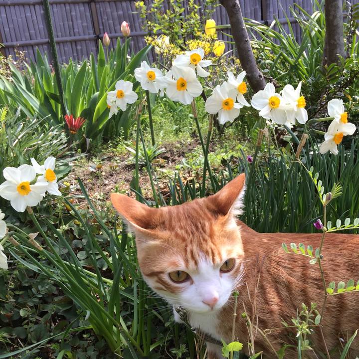 Bc73d0dc 2096 4078 8adc 0965e4d81a50