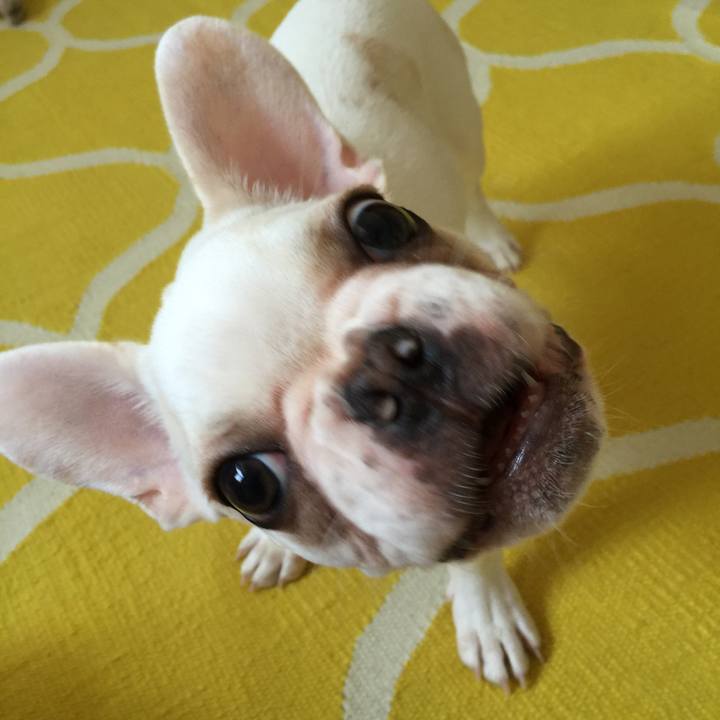 Bc742e50 cb85 4eea b6c3 62facce9b75d