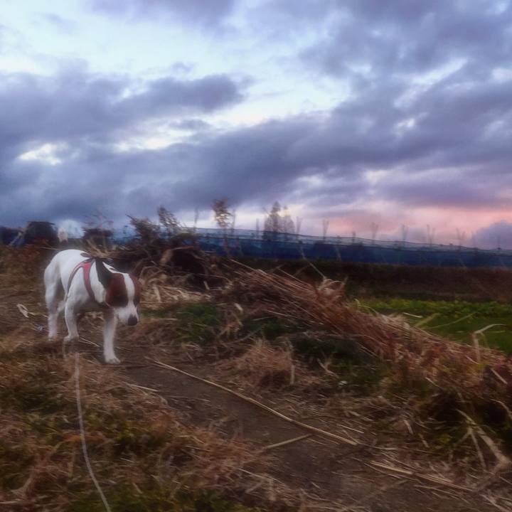 Bc744bf3 4415 41f7 81e6 8f47a7458fba