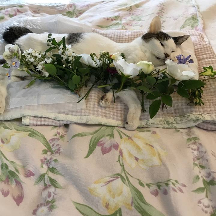 Bc744f56 d4ca 4dd8 9ace f451aca77793