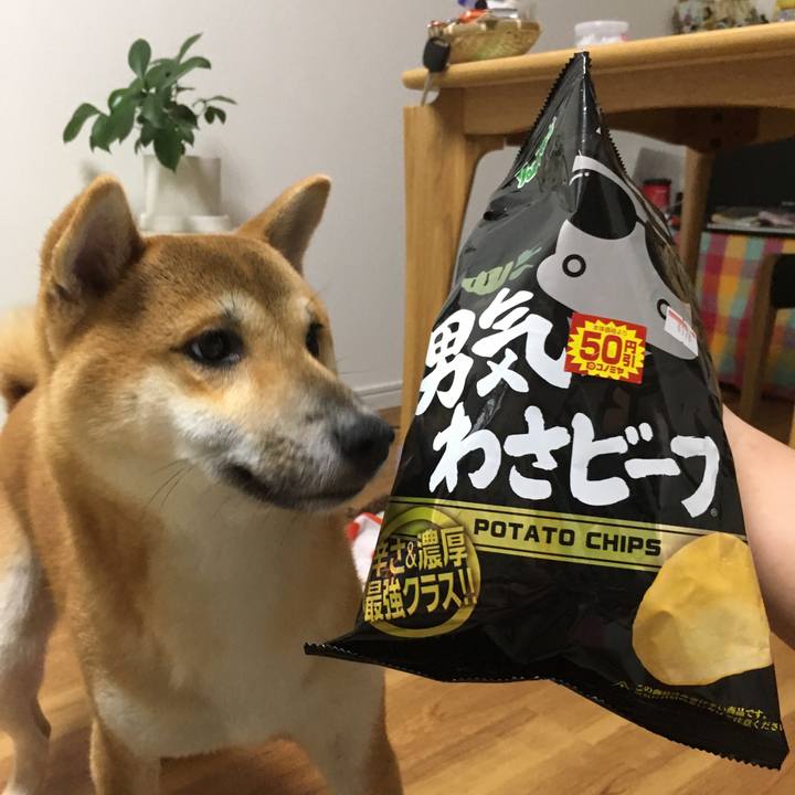 Bc75d291 5957 4f31 885e 70d48ff60a44