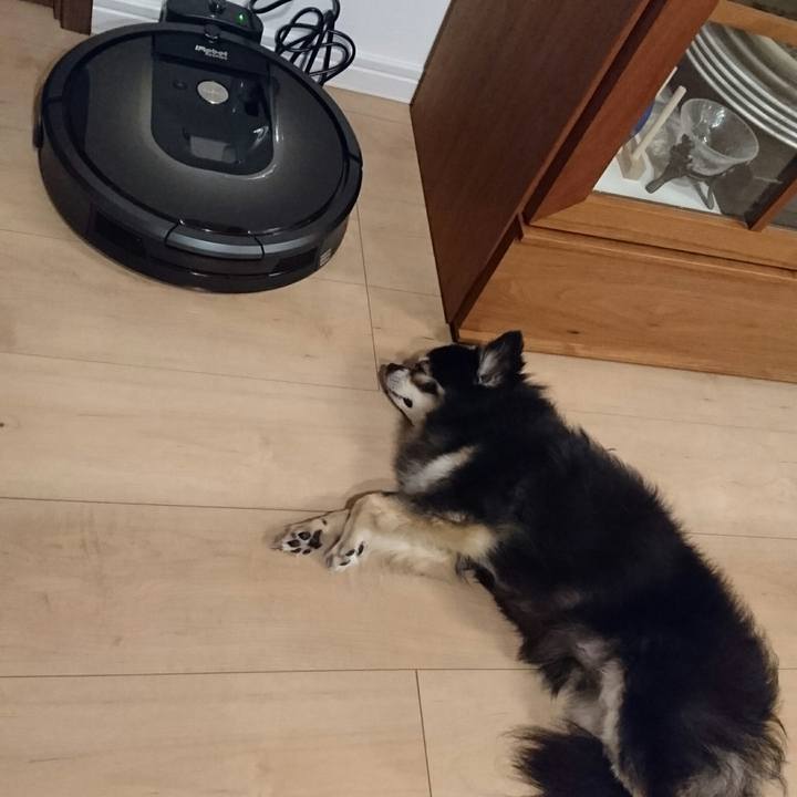 Bc75e864 e6ad 4f17 9ff5 89fdc1812842