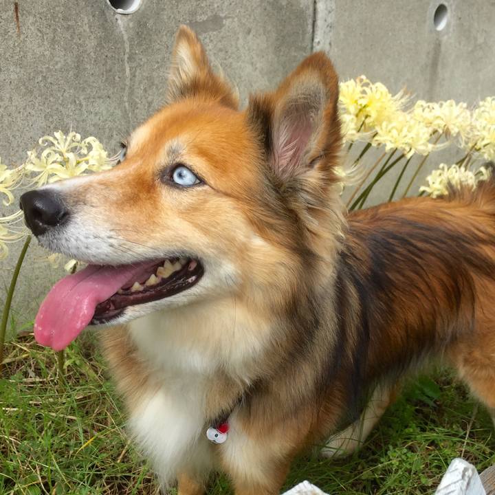 Bc75fc3c ad0b 43e9 86d8 54d43bddfd37