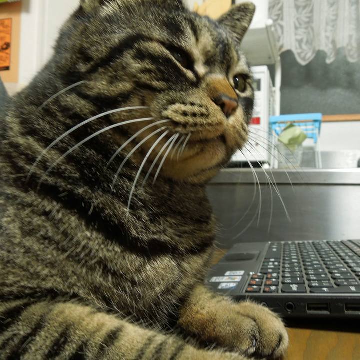 Bc7656fa ac9f 4248 aaca a39af097c0c2