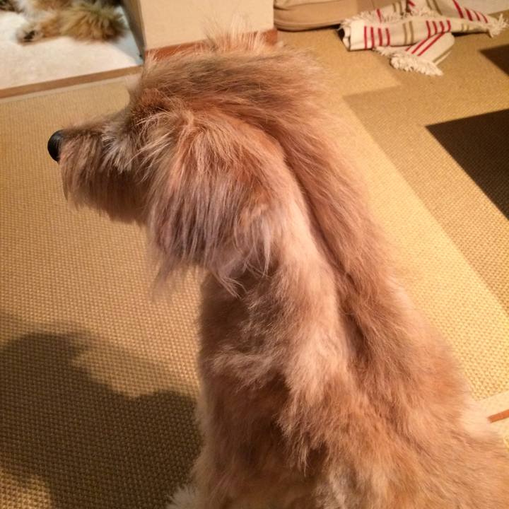 Bc784d32 dc86 49ff 9cb7 a74ee19df05e