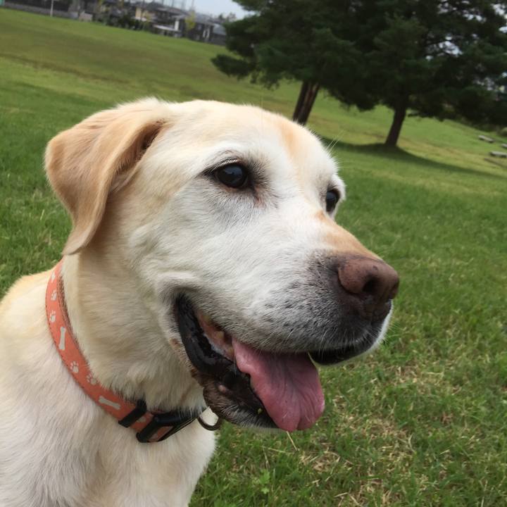 Bc78ff44 65d0 4710 ad9c bf244f6cb31b