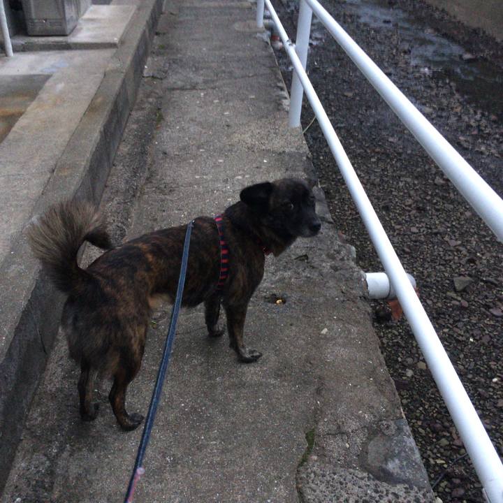 Bc7a702e 6f8d 404d 8e86 41395db59262