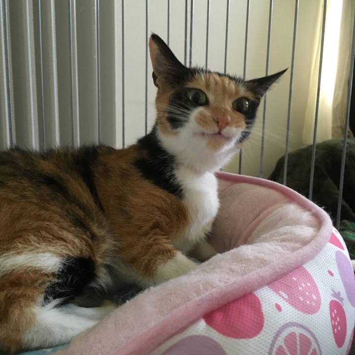 Bc7b5d9e 09dd 4622 a5a1 23f9c70c0faf