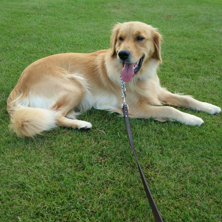 Bc7c2ffa 4035 4131 8511 29138eed95e8