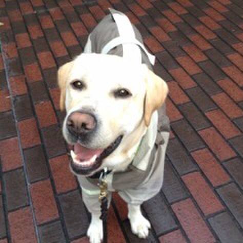 Bc7cf18c c93b 4124 bfa6 0efec48d34f8