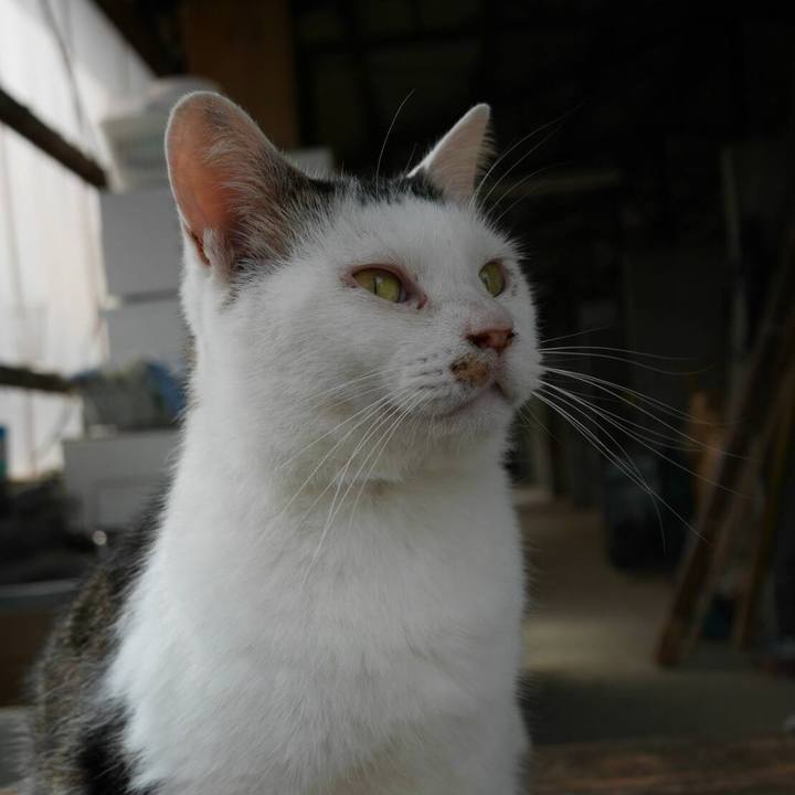 Bc7d45e8 85f3 44d9 9bd8 080d7a890c00