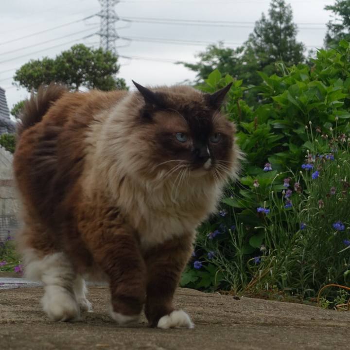 Bc7de5d9 f8b3 4f26 8c26 293b7cdb7e50