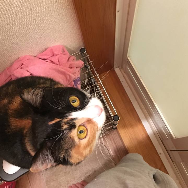 Bc7e1325 5323 41d3 888d b23816b322a5