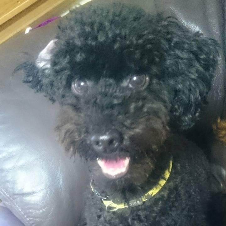 Bc7e1f40 8c22 4408 a6d2 76a19f4148ee