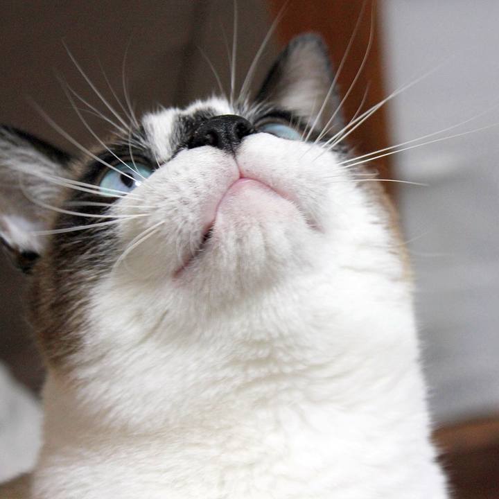 Bc7e8375 61fc 415f ae47 115b4750ef42