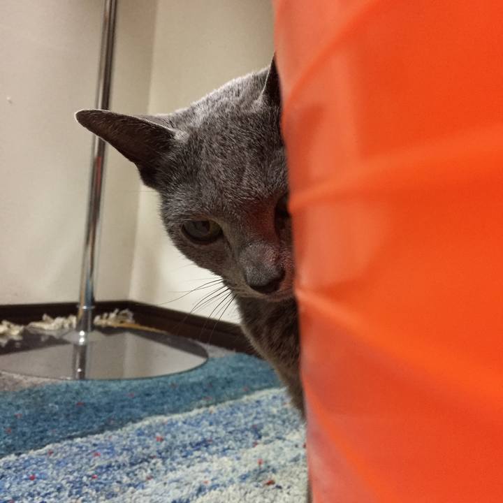 Bc7e8e27 a659 4320 b3c2 79ab9ad1dc04