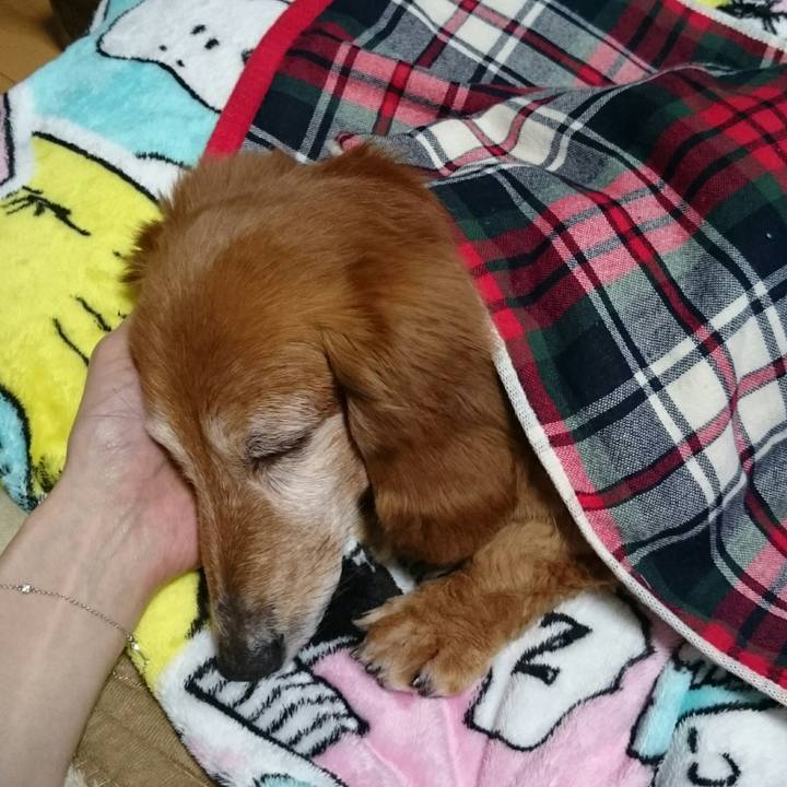 Bc7ea635 2835 4e67 81c1 f8340fdbc995