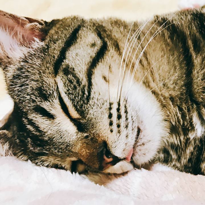 Bc7ef85e 5f5b 486e 8eb6 507866b8c732