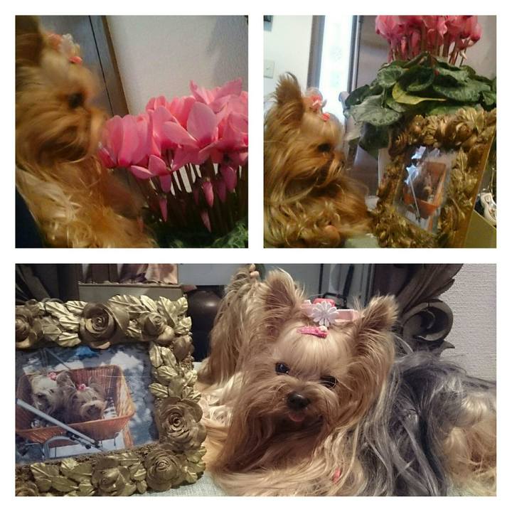 Bc7f4c45 4bee 46fe 8f6d d21bc6f680a3